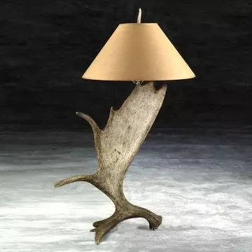 Moose Antler Sconce