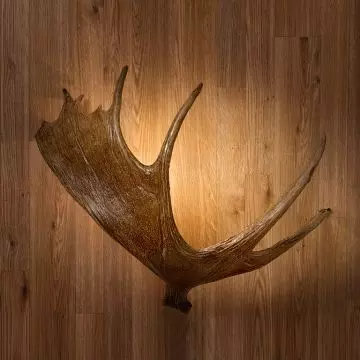 Cabin top wall sconces