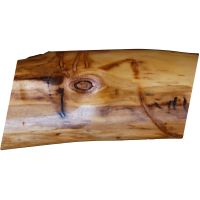 Natural Logs