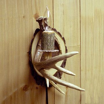 Electric Antler Wall Sconce; 1 antler, 1 light
