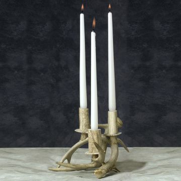 Two Antler Candle Holder
