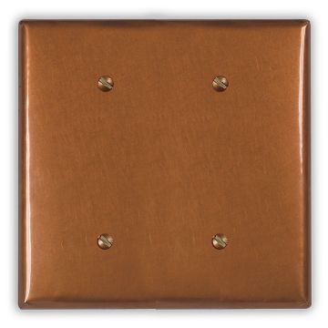 Antique 2 Blank Copper Switch Plate