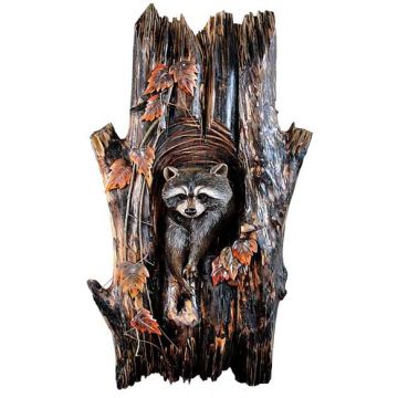 Raccoon in Tree