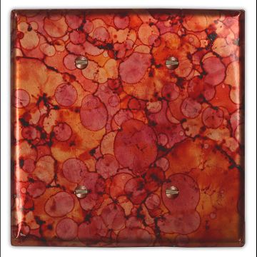 Autumn 2 Blank Copper Switch Plate