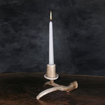 One Antler Candle Holder, 1 candle