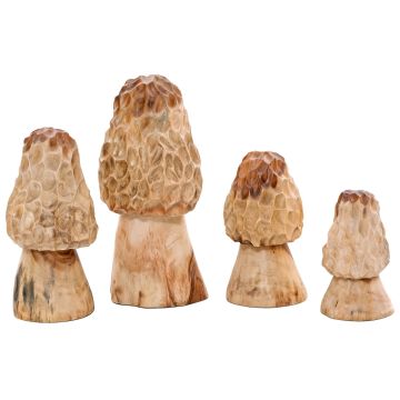 Carved Morel Mushrooms