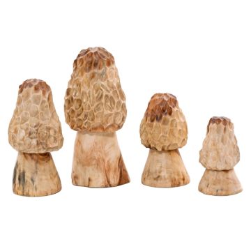Carved Morel Mushrooms