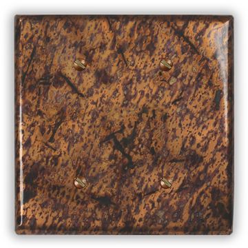 Distressed Light 2 Blank Copper Switch Plate