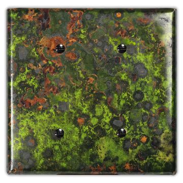 Irish Moss 2 Blank Copper Switch Plate