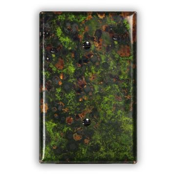 Irish Moss 1 Blank Copper Switch Plate