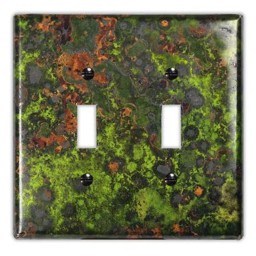 Irish Moss 2 Toggle Copper Switch Plate