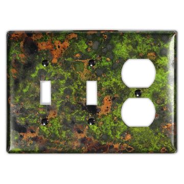 Irish Moss 2 Toggle 1 Outlet Copper Switch Plate