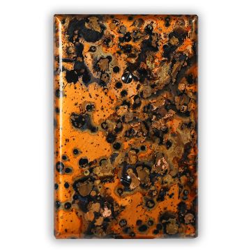 Leopard 1 Blank Copper Switch Plate