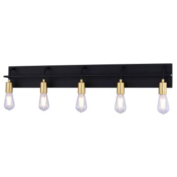Seward Park 5-Light Black and Satin Brass Vanity Light