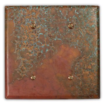 Sierra 2 Blank Copper Switch Plate