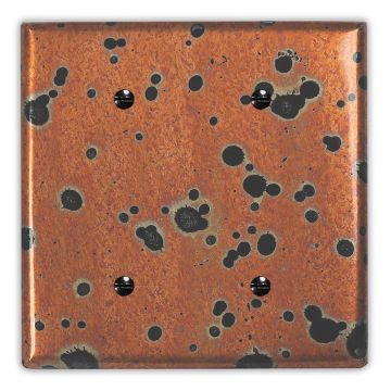 Sunburst 2 Blank Copper Switch Plate