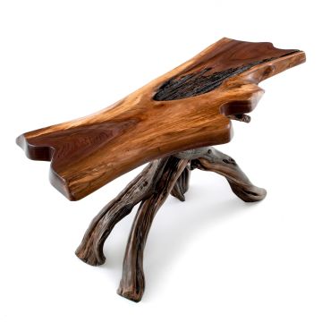 Twisted Trails Free Form Sofa Table