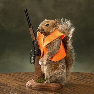 Hunting Squirrel