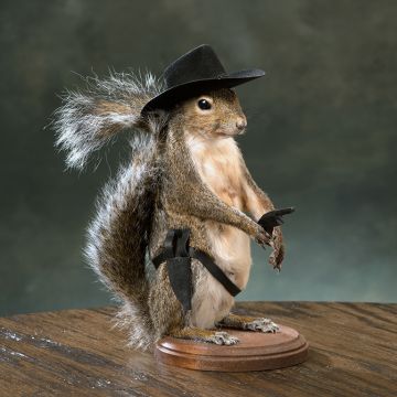 Gunslinger Squirrel