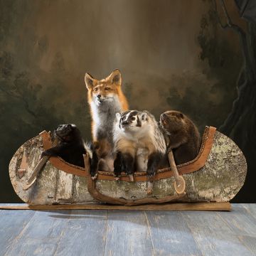 "Noah's Ark" Canoeing Quartet