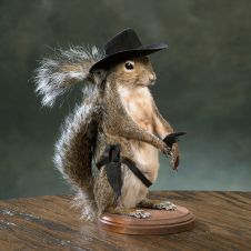 Gunslinger Squirrel