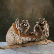 Canoeing Coon Duo