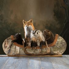 "Noah's Ark" Canoeing Quartet