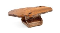 Rustic Coffee Table with Hollow Log Base