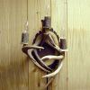 Electric Antler Wall Sconce; 3 antlers, 3 lights
